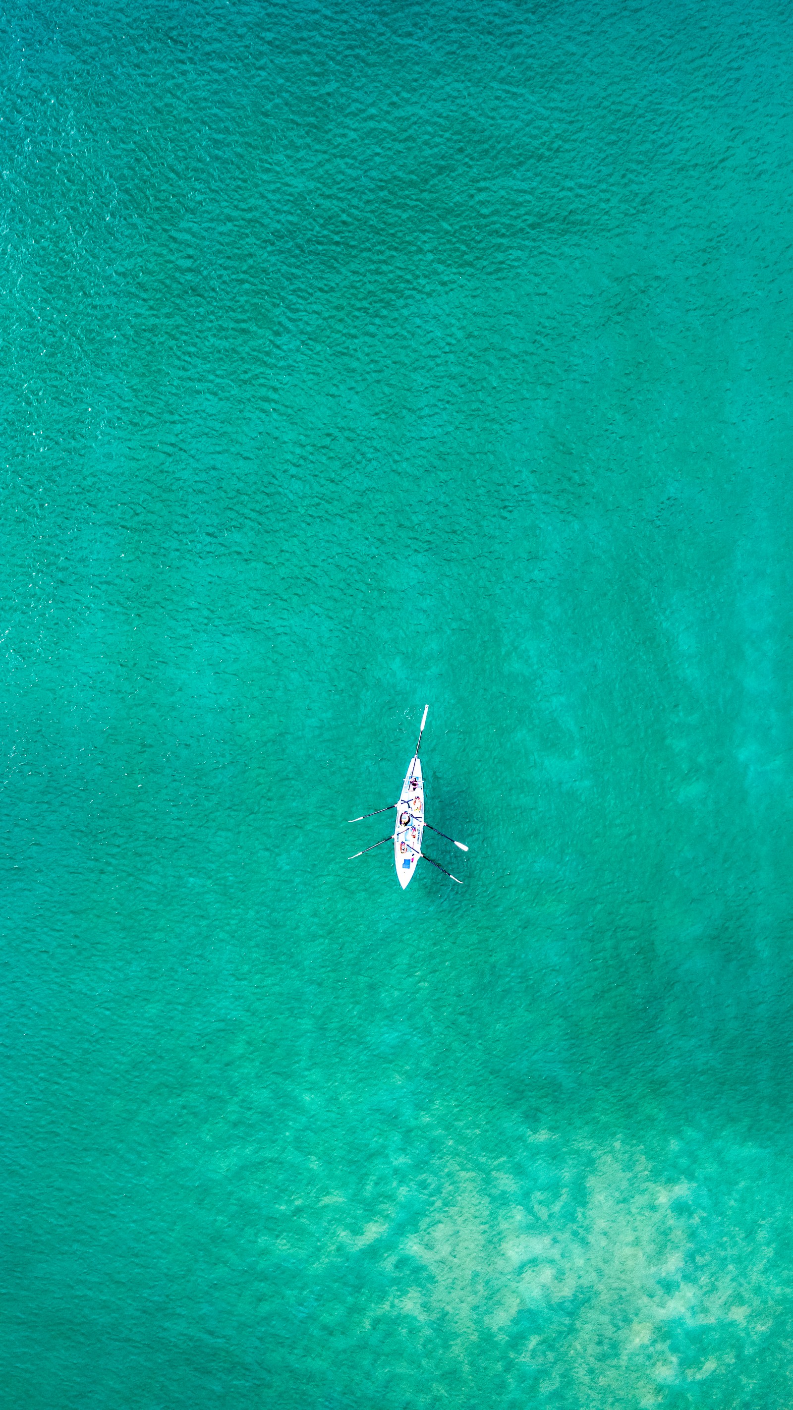 Скачать обои вода, море, наука, зелёный, лазурный