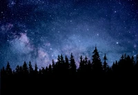 night, starry sky, forest, silhouette, astronomy wallpaper