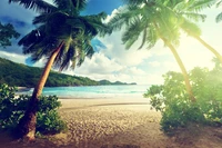 Tropical beach scene with palm trees and serene ocean waves under a vibrant sky.