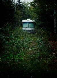 Camping-car abandonné entouré d'une végétation forestière luxuriante dans une réserve naturelle