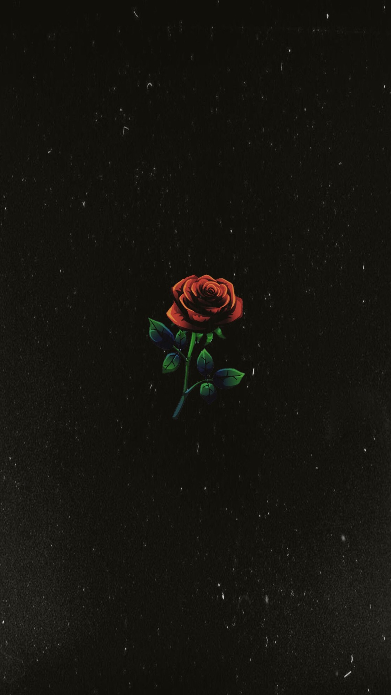 There is a rose that is sitting on a black surface (1994, hot, nature, red, rose)