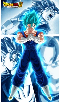 Le pouvoir ultime de Vegito : Dragon Ball Super HD