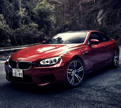 bmw, burgundy, m6