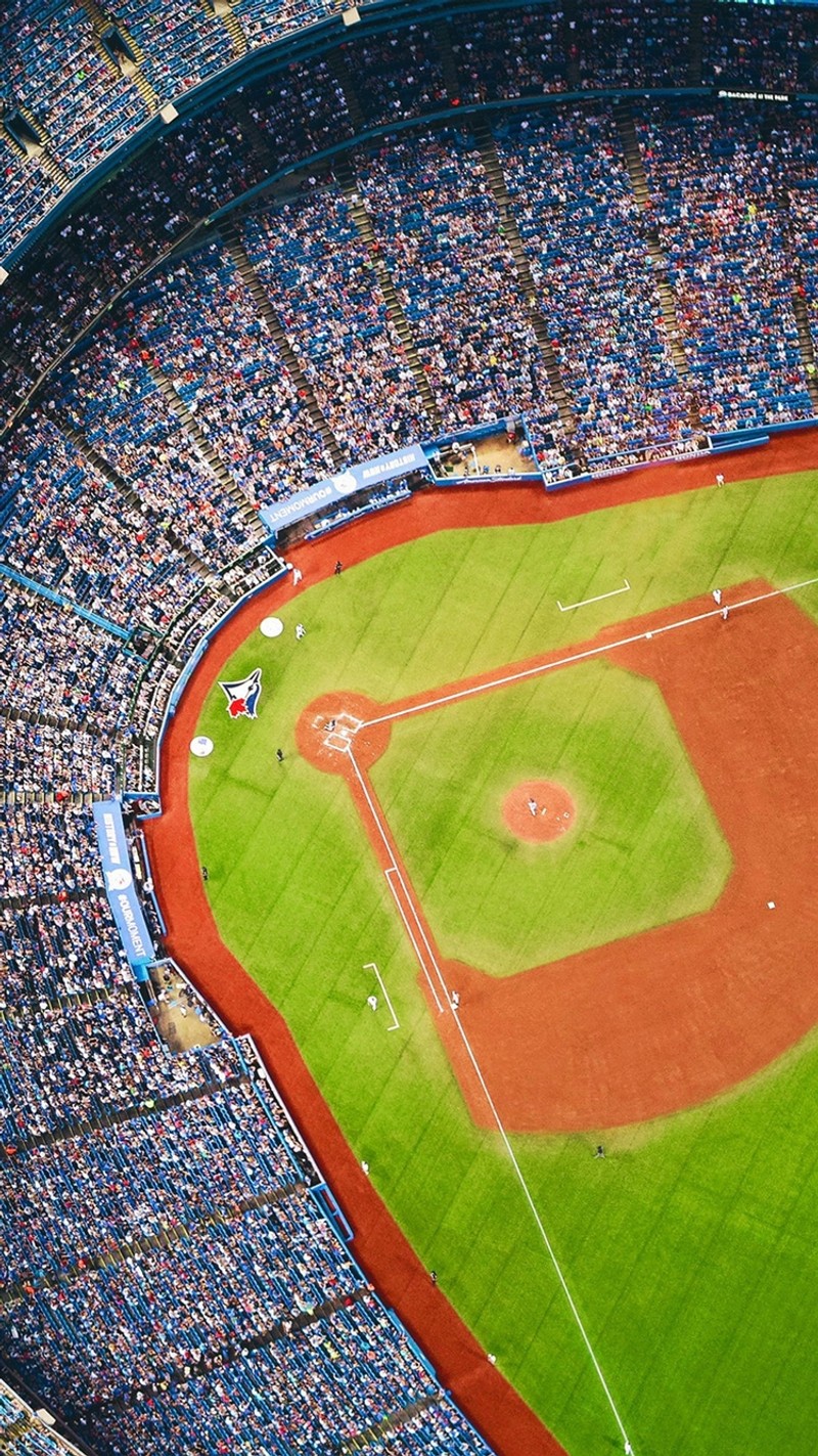 Арафированный вид бейсбольного поля с толпой людей (бейсбол, bluejays, поле, mlb, спорт)