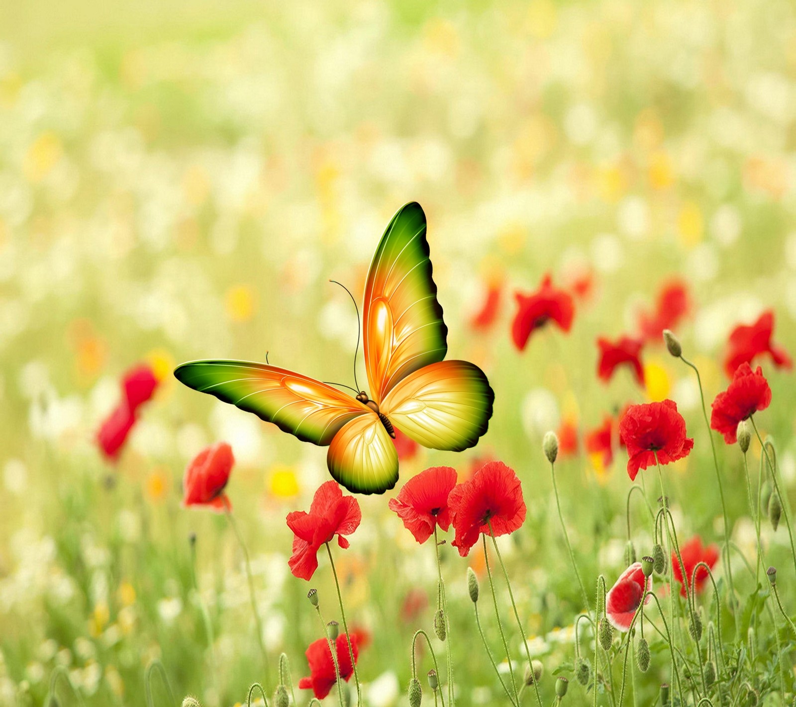 There is a butterfly that is flying over some red flowers (butterfly, flowers)