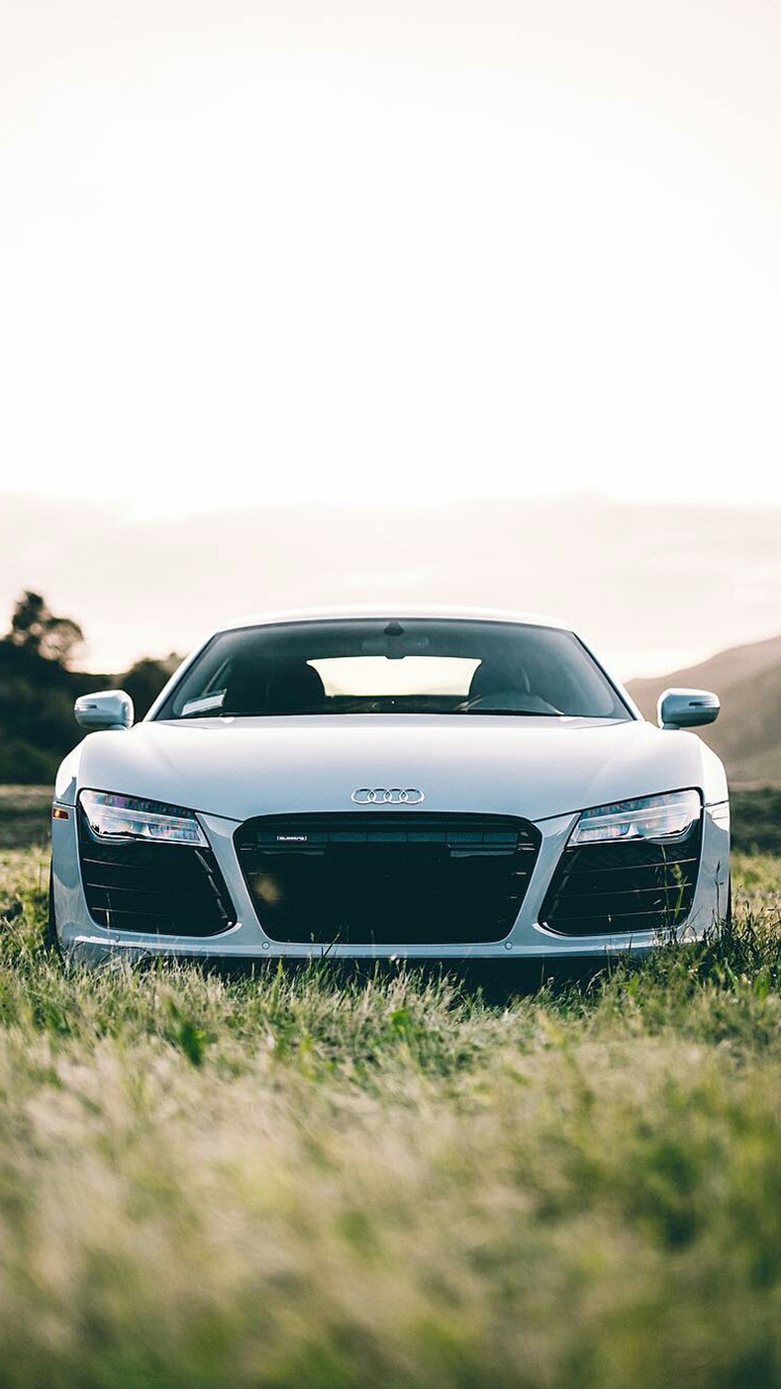 Arafed white sports car parked in a field of grass (audi, front view, r8, supercar, vehicle)