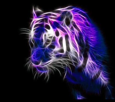 couleur, hd, tigre, tigre blanc