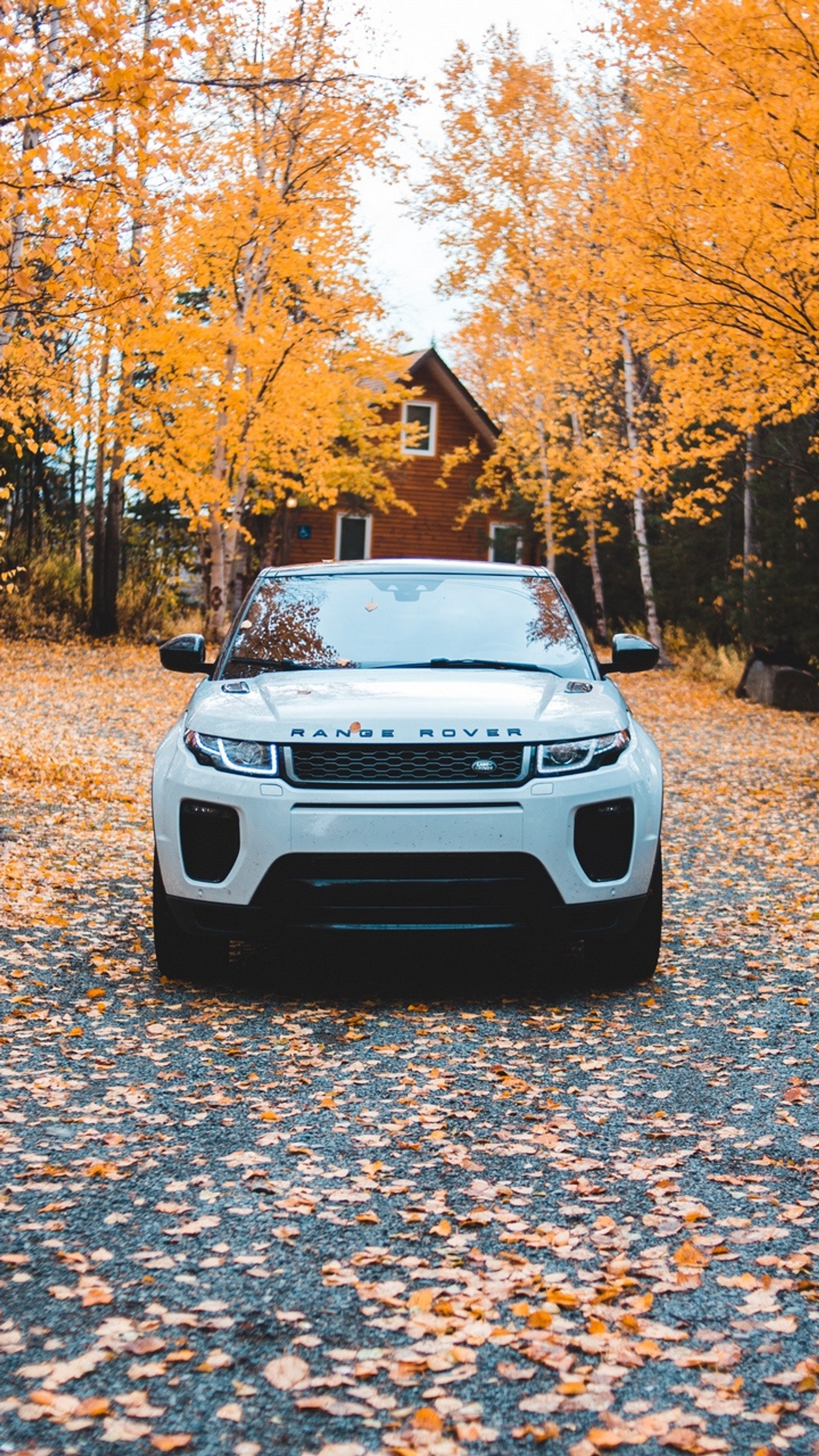 A close up of a white car parked on a road with fall leaves (car, cars, drift, land, muscle)