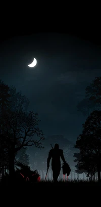 minimalistic, night, witcher wallpaper