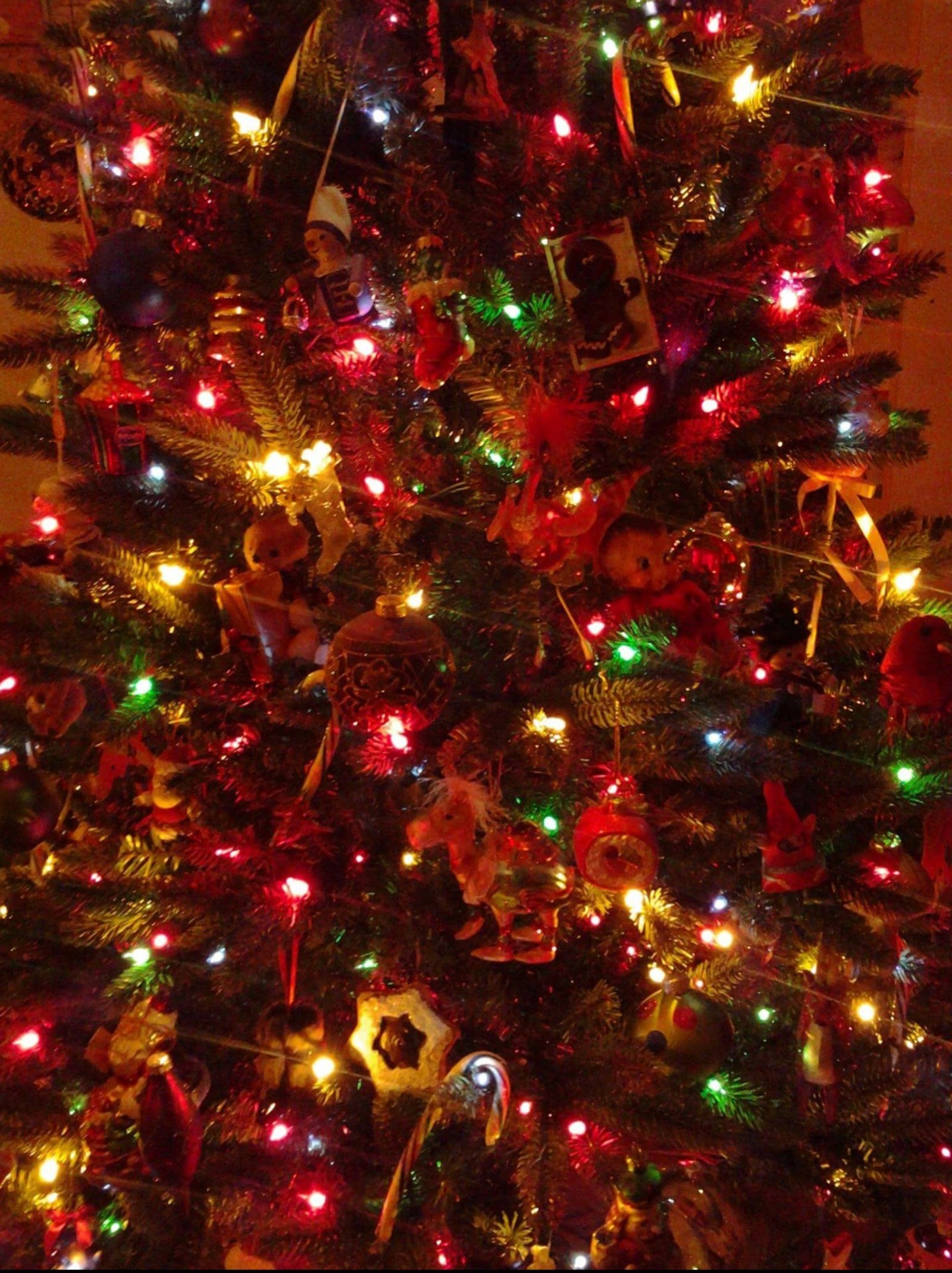 A close up of a christmas tree with a lot of lights (christmas, christmas tree)