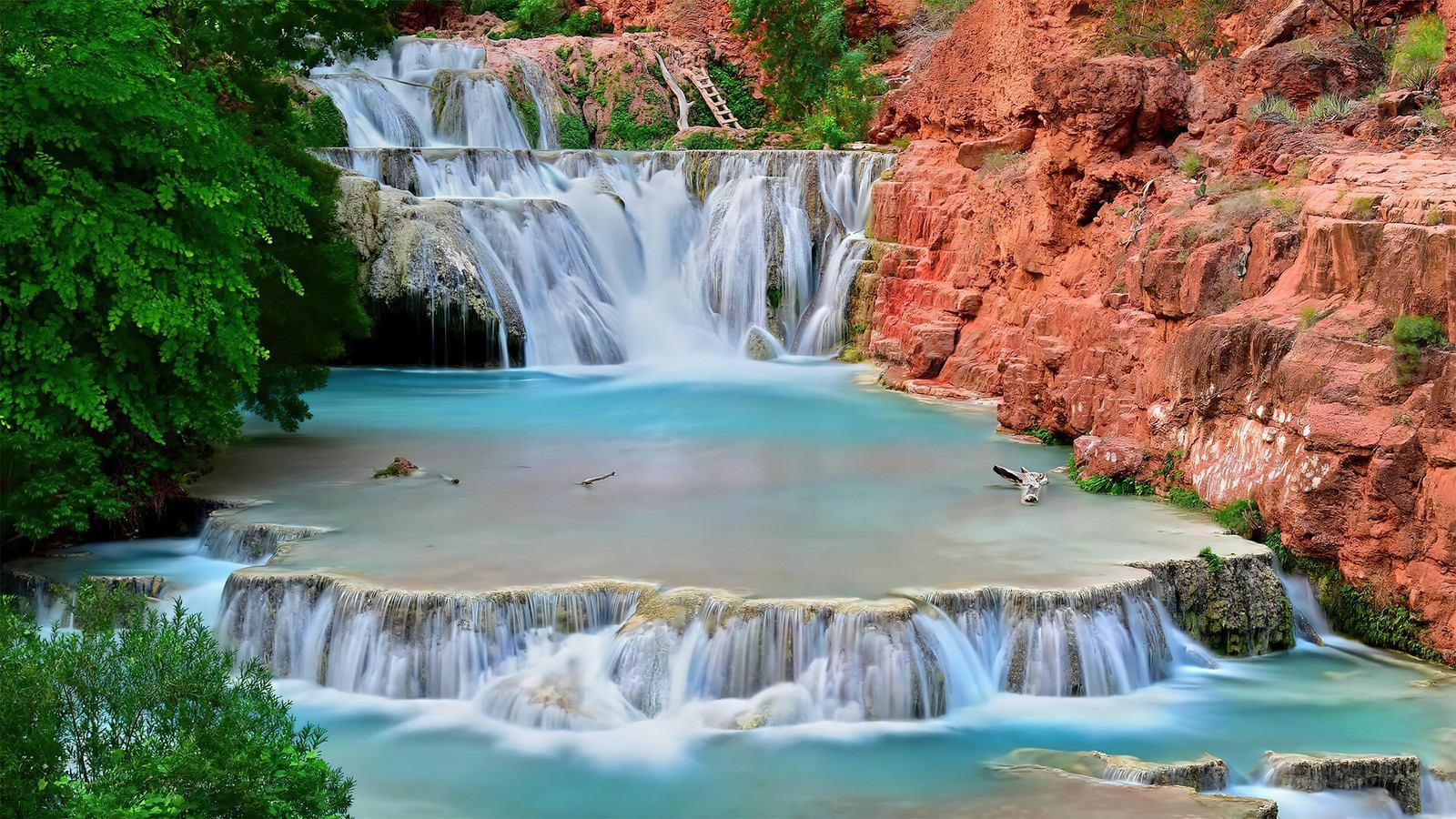 Um close de uma cachoeira com um pássaro na borda (cachoeira, natureza, cenário, beaver falls, arizona)