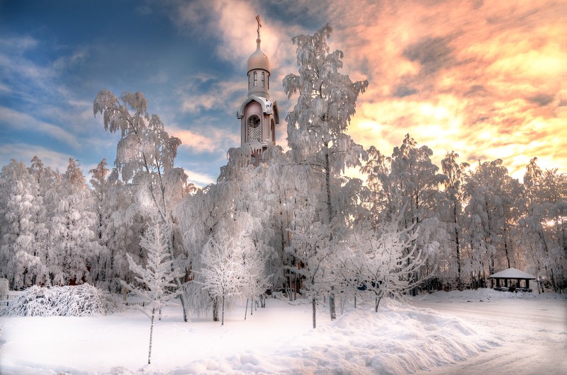 Снежные деревья и церковь посреди поля (санкт петербург, saint petersburg, зима, снег, замораживание)