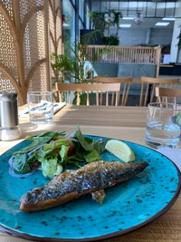 Grilled fish served on a vibrant blue plate, accompanied by a fresh salad and a slice of lemon, set in a modern, plant-filled dining space.