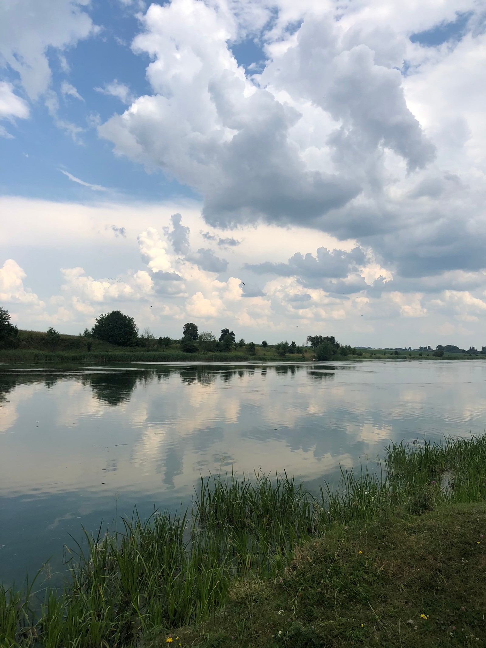 Большое водоем с несколькими облаками на небе (водные ресурсы, природа, природный пейзаж, природная среда, облако)