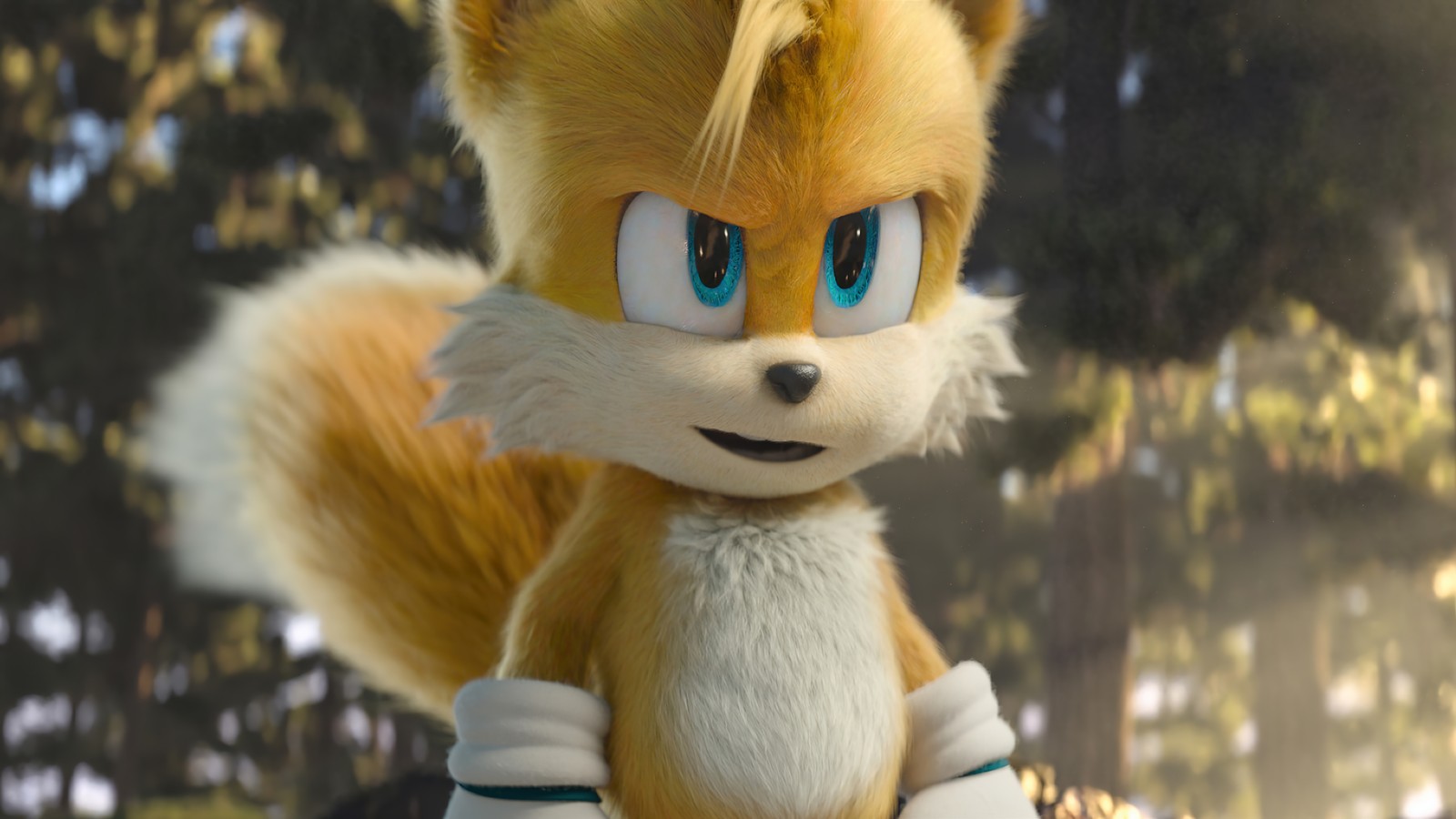 Sonic the hedger is sitting on a rock in front of a forest (tails, sonic the hedgehog 2, movie, 2022)