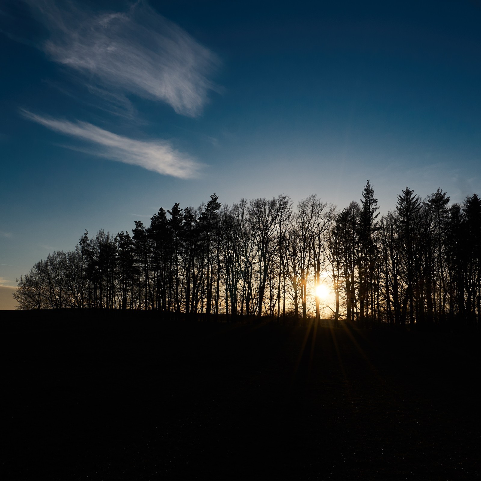 Arafed view of a field with trees and the sun setting (sunset, morning, dawn, natural landscape, cloud)