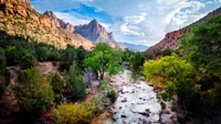 Parque Nacional Zion: Un paisaje de cañón sereno con vegetación exuberante y montañas majestuosas