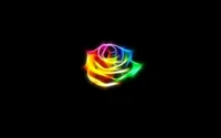 Radiant Rainbow Rose: A Dance of Light and Color