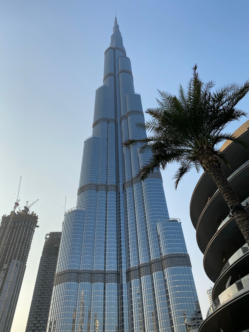 Панорамный вид на высокое здание с пальмой перед ним (дубай, dubai, burj khalifa, небоскреб, башенный блок)