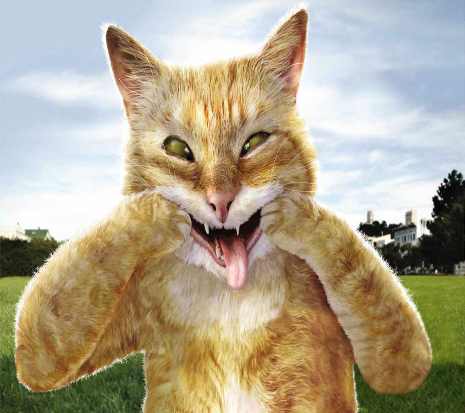 There is a cat that is standing up with its mouth open (cat, funny)