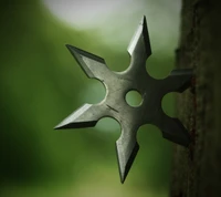 Ancient Japanese Ninja Star: A Deadly Martial Arts Weapon