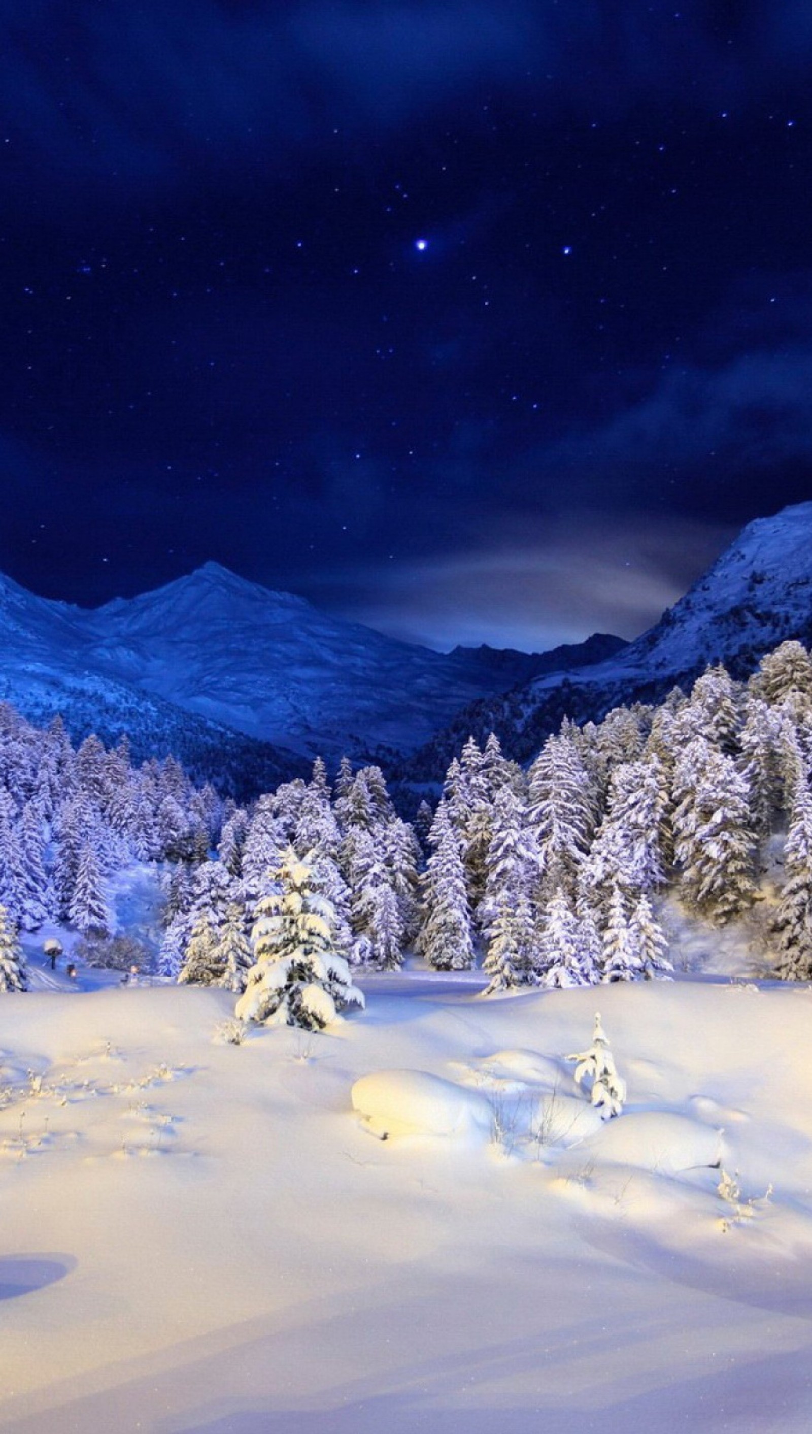 Arbres enneigés dans un paysage montagneux enneigé la nuit (nuit, ciel, neige, arbre)