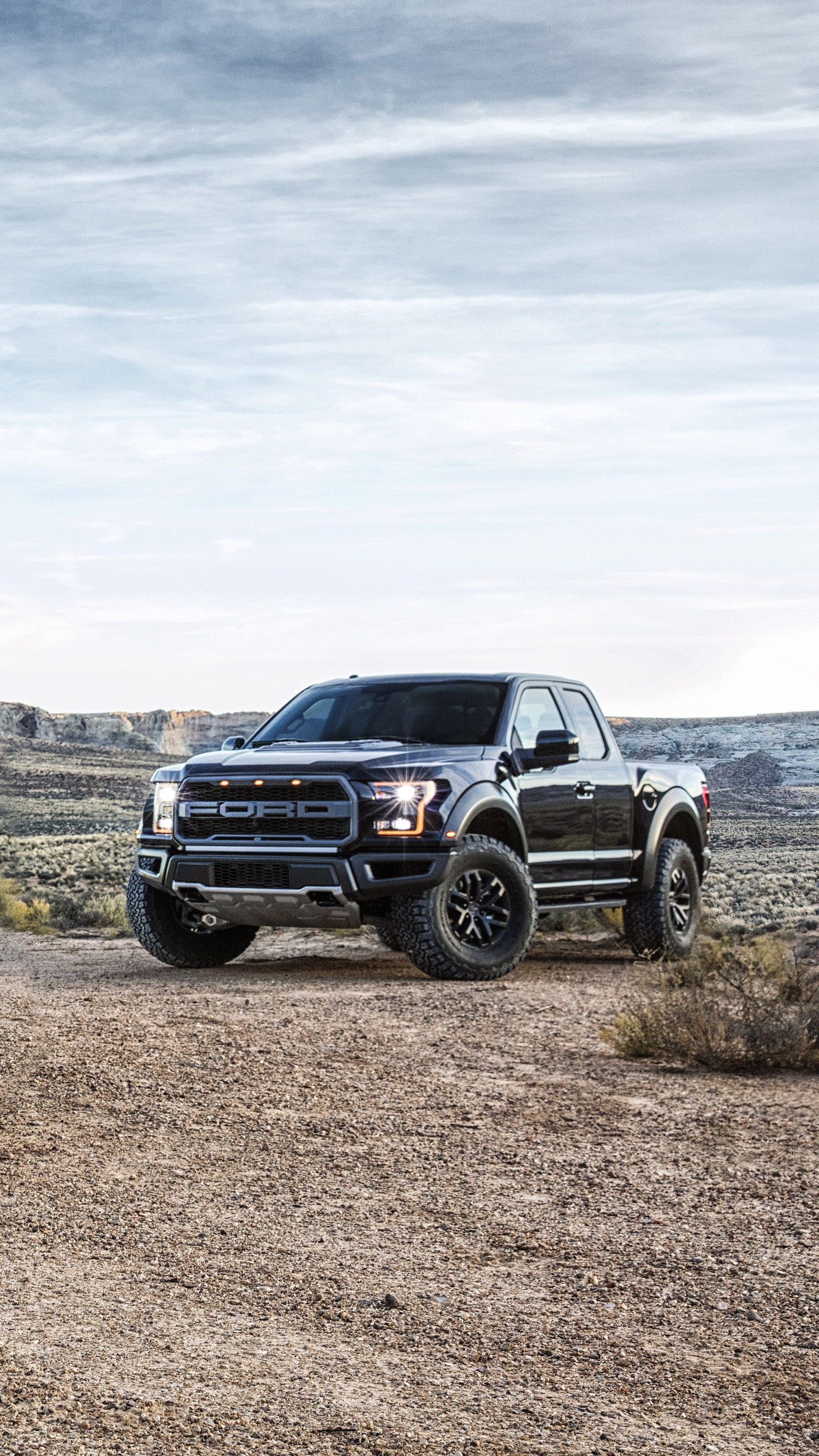 Arafed truck driving on dirt road in open field with mountains in background (baja, desert, f150, ford, off road)