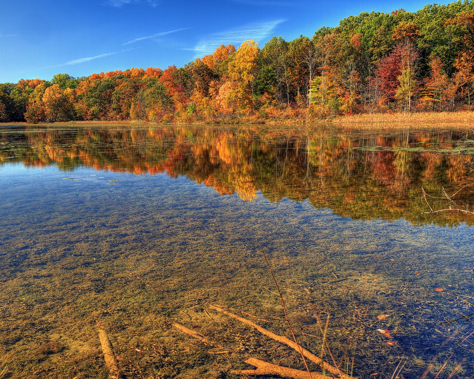 As árvores são refletidas na água de um lago no outono (outono, bonito, nuvens, hd, lago)