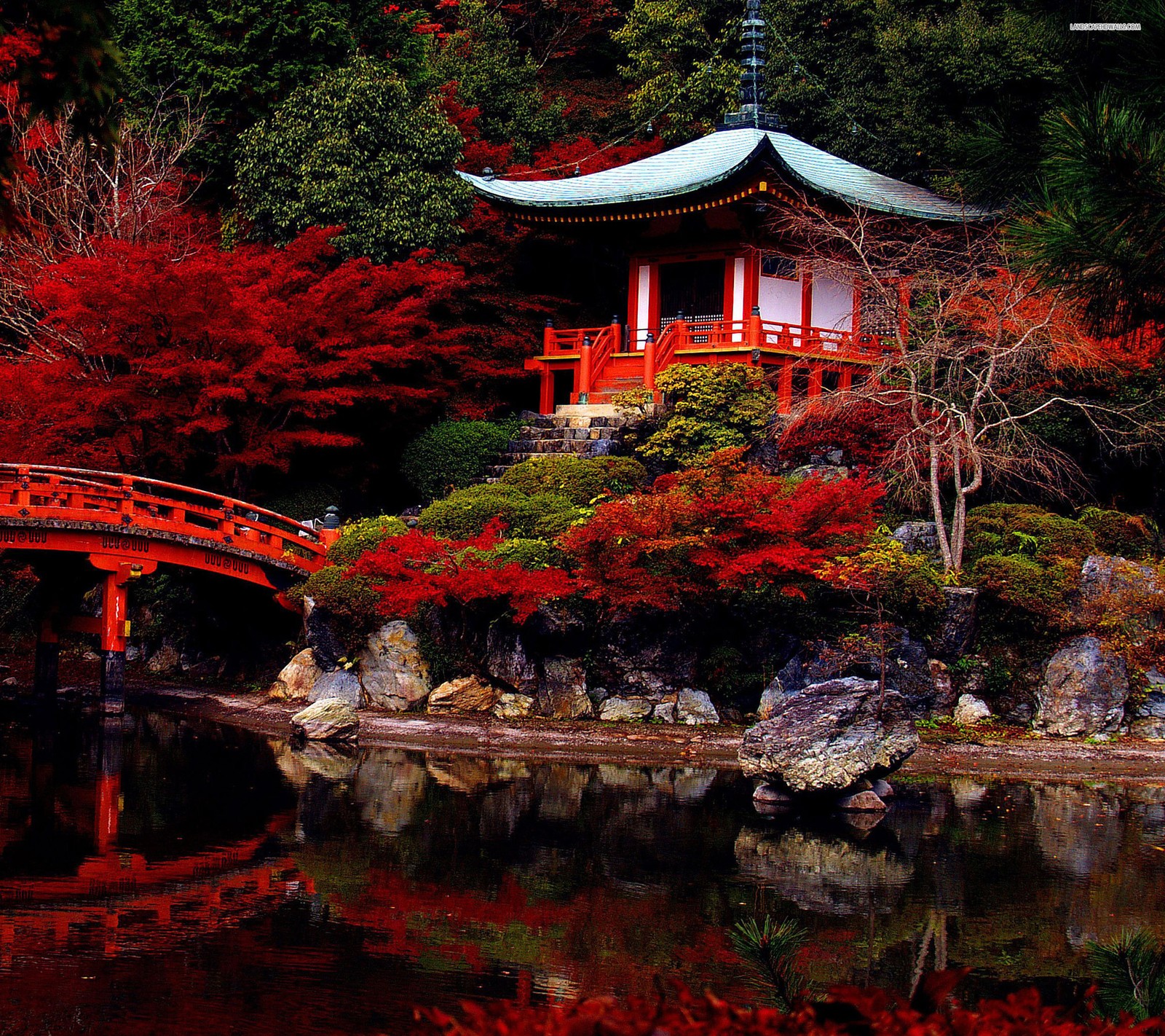 Un pont rouge au-dessus d'un étang avec un bâtiment rouge en arrière-plan (coloré, jardin, hd, japonais, nature)