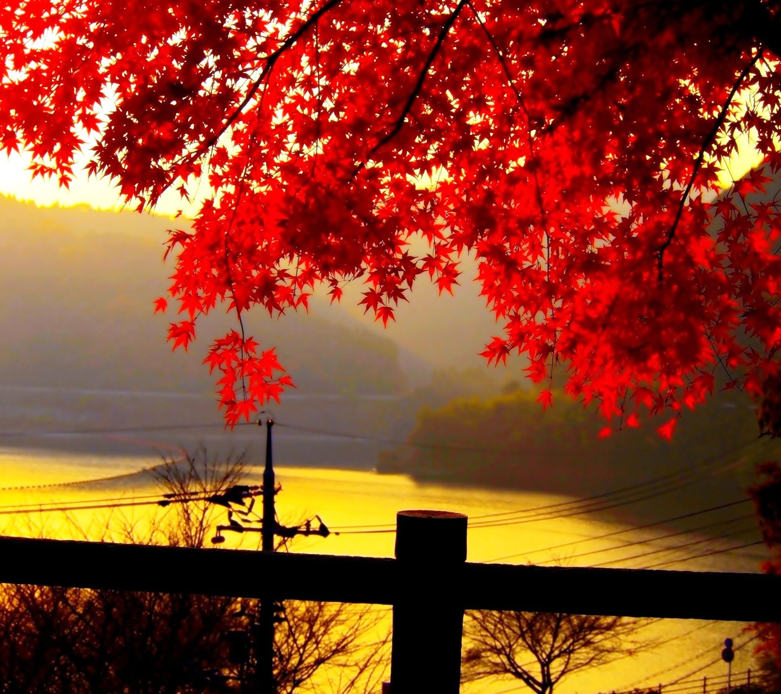 Lade herbstblätter, autumn with sunset, hd, blätter, sonnenuntergang Hintergrund herunter