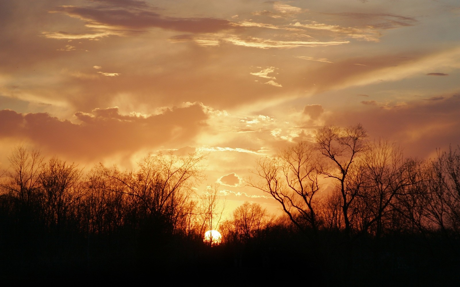 Coucher de soleil avec quelques nuages et des arbres au premier plan (nuage, coucher de soleil, crépuscule, lever de soleil, aube)