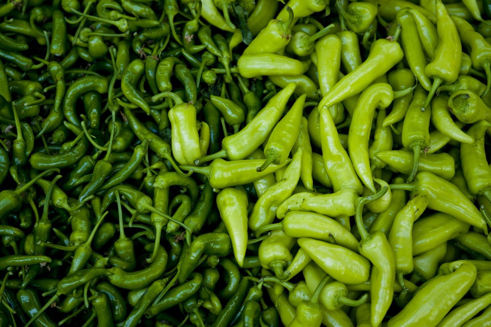 Um close-up de um monte de pimentões verdes em cima de uma mesa (pimenta chili, pimentão, vegetal, produzir, comida)