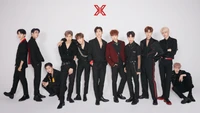 Grupo X1 K-Pop formação completa em traje preto sofisticado