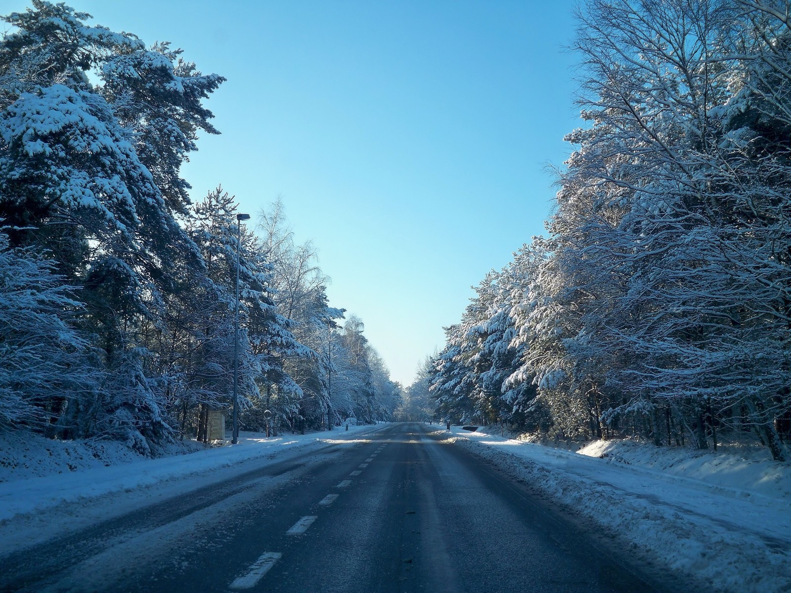 Arafed road with trees and snow on both sides (snow, road, winter, tree, frost)