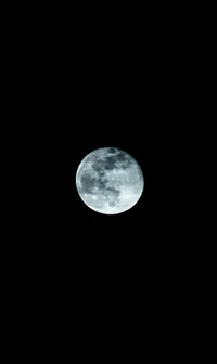 Strahlender Vollmond erleuchtet den Nachthimmel