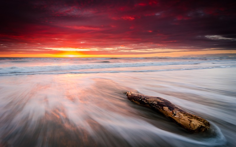 Близкий план бревна на пляже на фоне заката (leithfield beach, новая зеландия, new zealand, восход солнца, оранжевое небо)