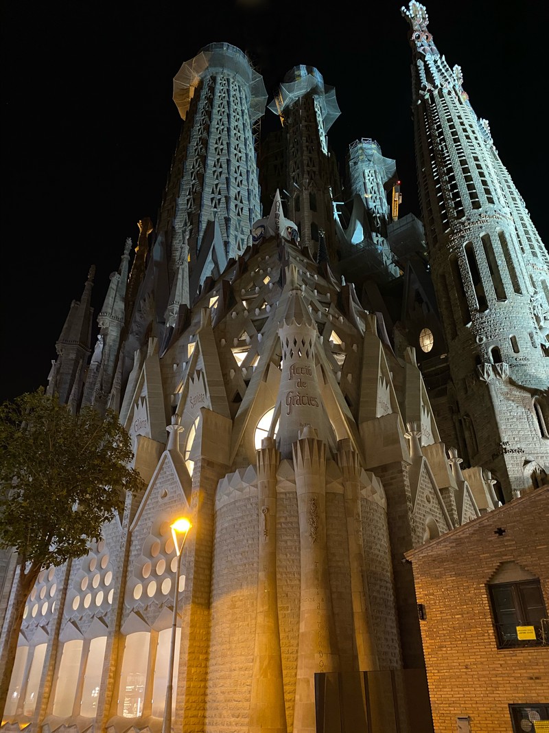 Аэрофотоснимок собора с часовой башней (барселона, barcelona, испания, достопримечательность, средневековая архитектура)