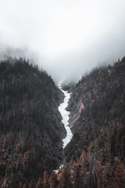 Vale de alta montanha coberto de névoa na natureza selvagem de Banff