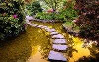 Serener Gartenweg mit Reflexionen im ruhigen Wasser