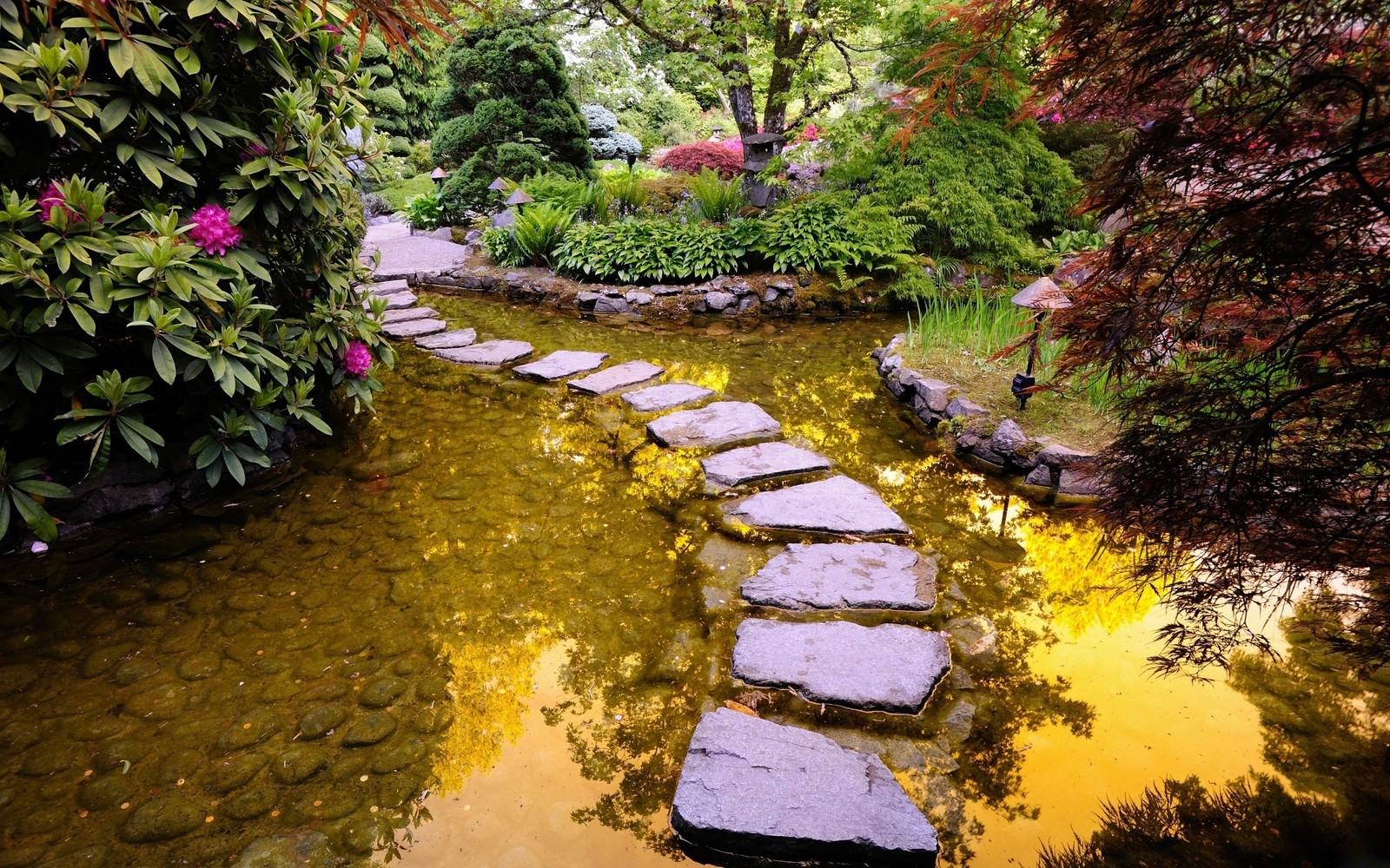 Um caminho de pedra leva a um lago em um jardim. (jardim, natureza, água, curso dágua, vegetação)