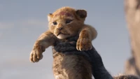 el rey león, película, simba