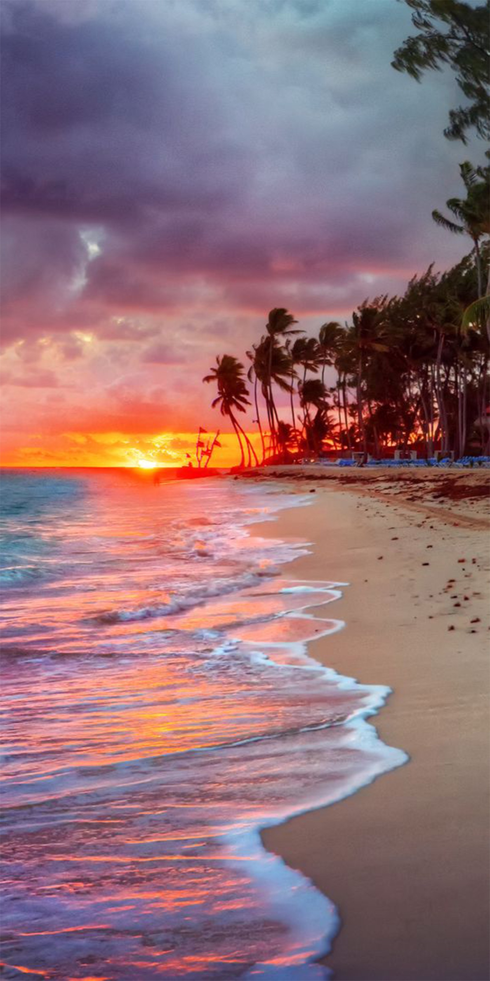 Coucher de soleil sur une plage tropicale avec des palmiers et des vagues (plage, paysage, coucher de soleil, photos, hd)