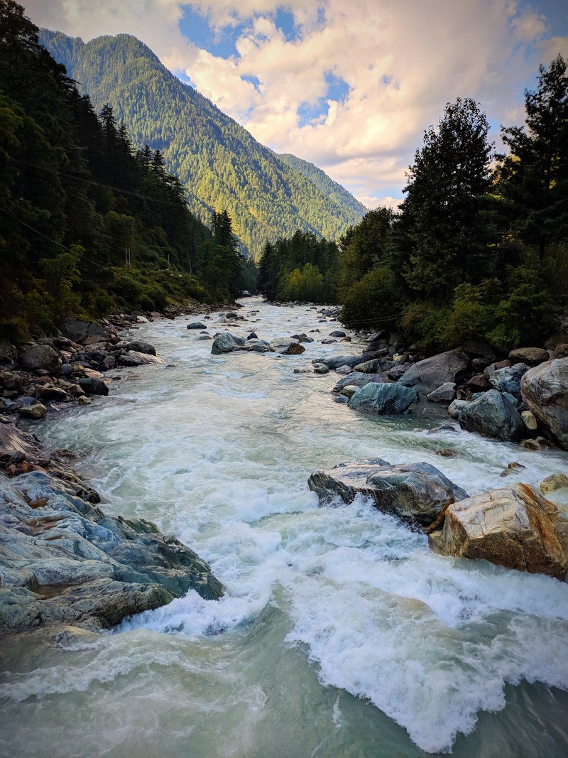 Река с камнями и водой в ней (himachal pradesh, индия, india, kasol, горы)