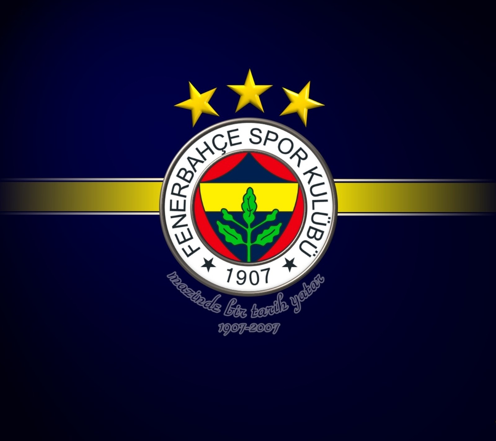 fenerbahce, football, istanbul, sport wallpaper