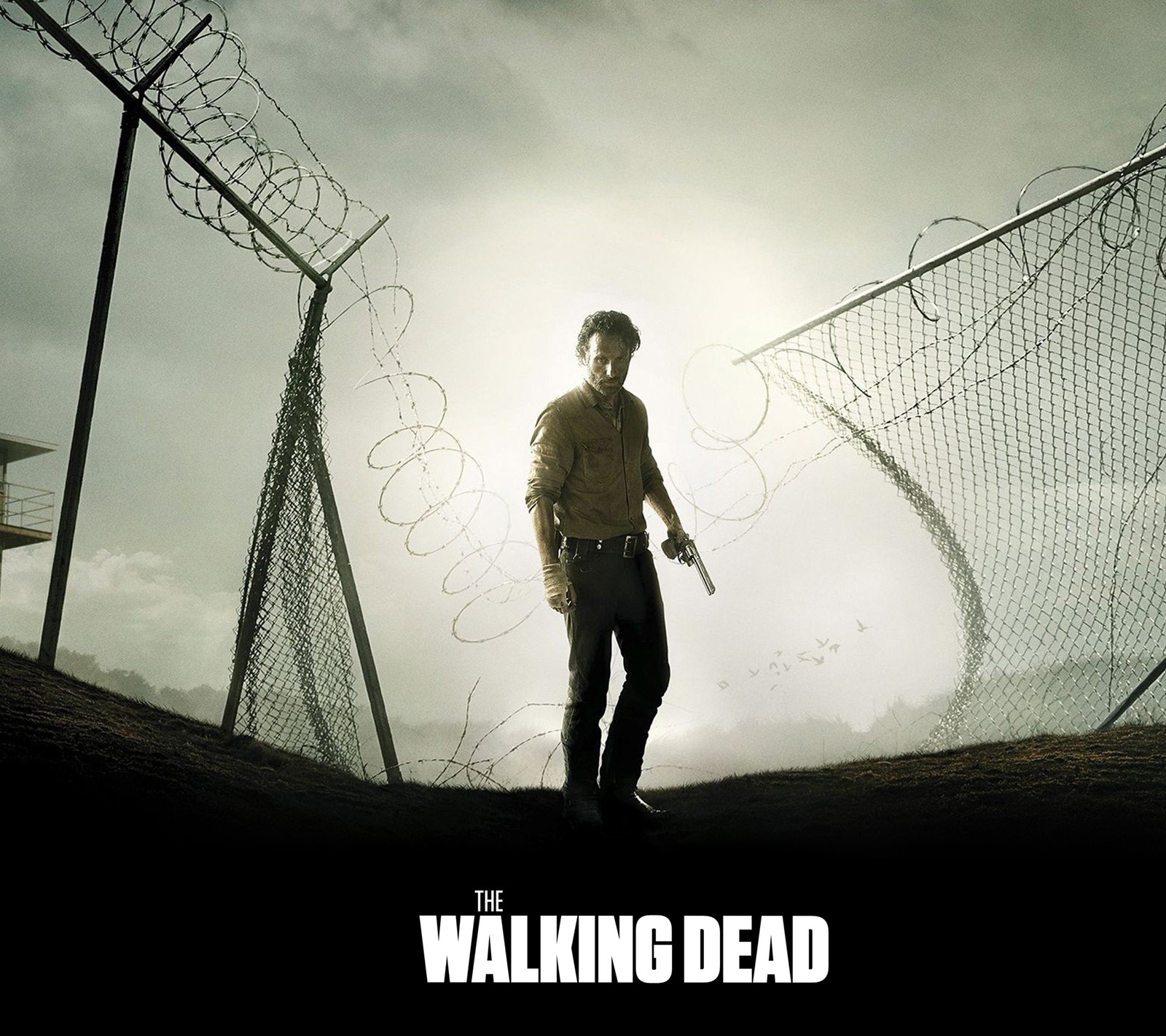 Lade rick grimes, the walking dead, twd, walker Hintergrund herunter