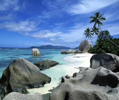 Plage tropicale avec des palmiers et une côte rocheuse en Italie