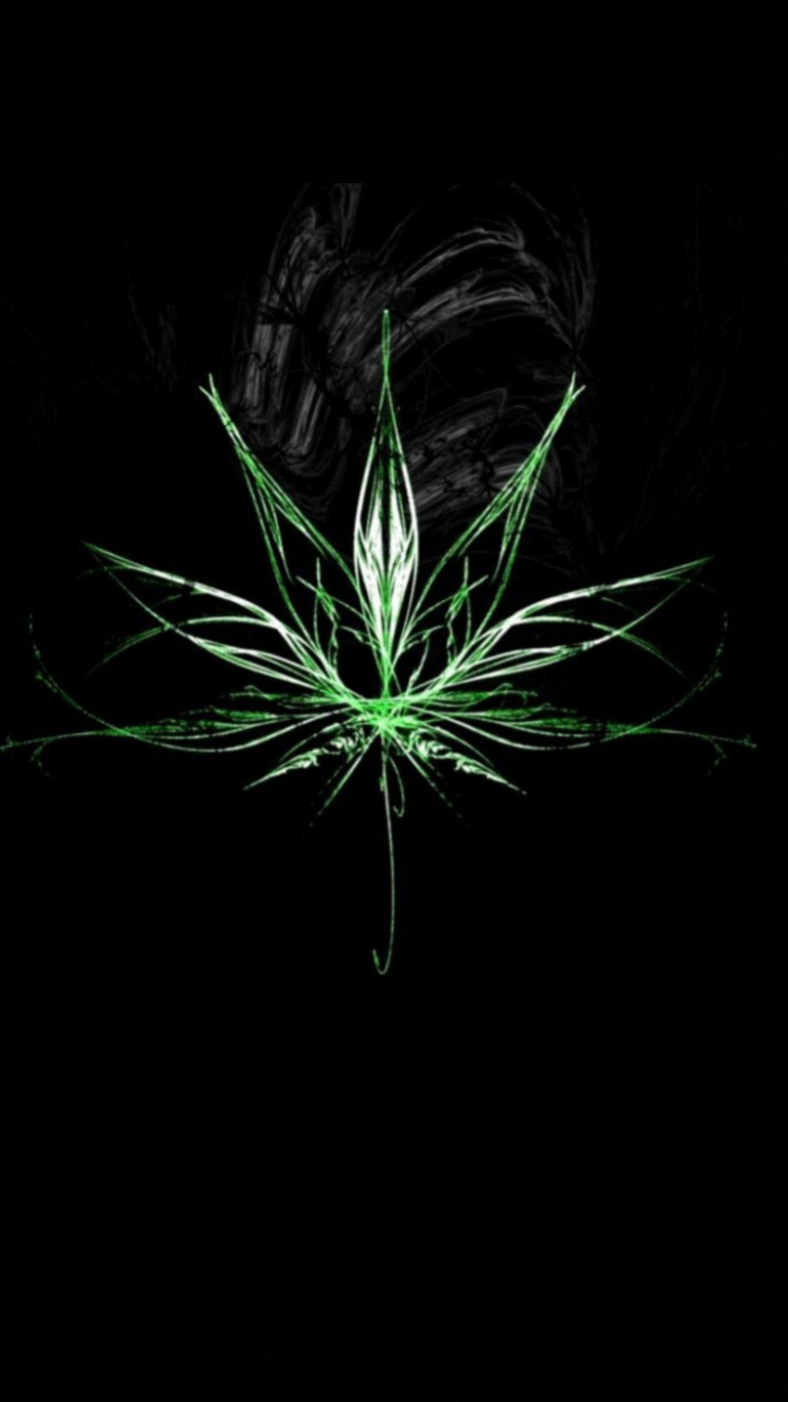 A close up of a marijuana leaf on a black background (black, green, leaf, marijuan, marijuana leaf)