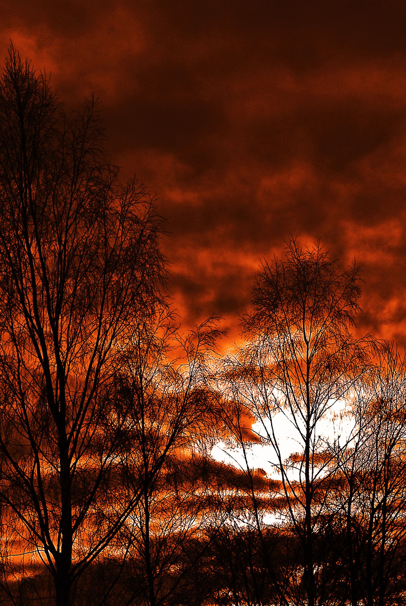 Trees silhouetted against a red sky at sunset with a clock tower (december, nature, sky)