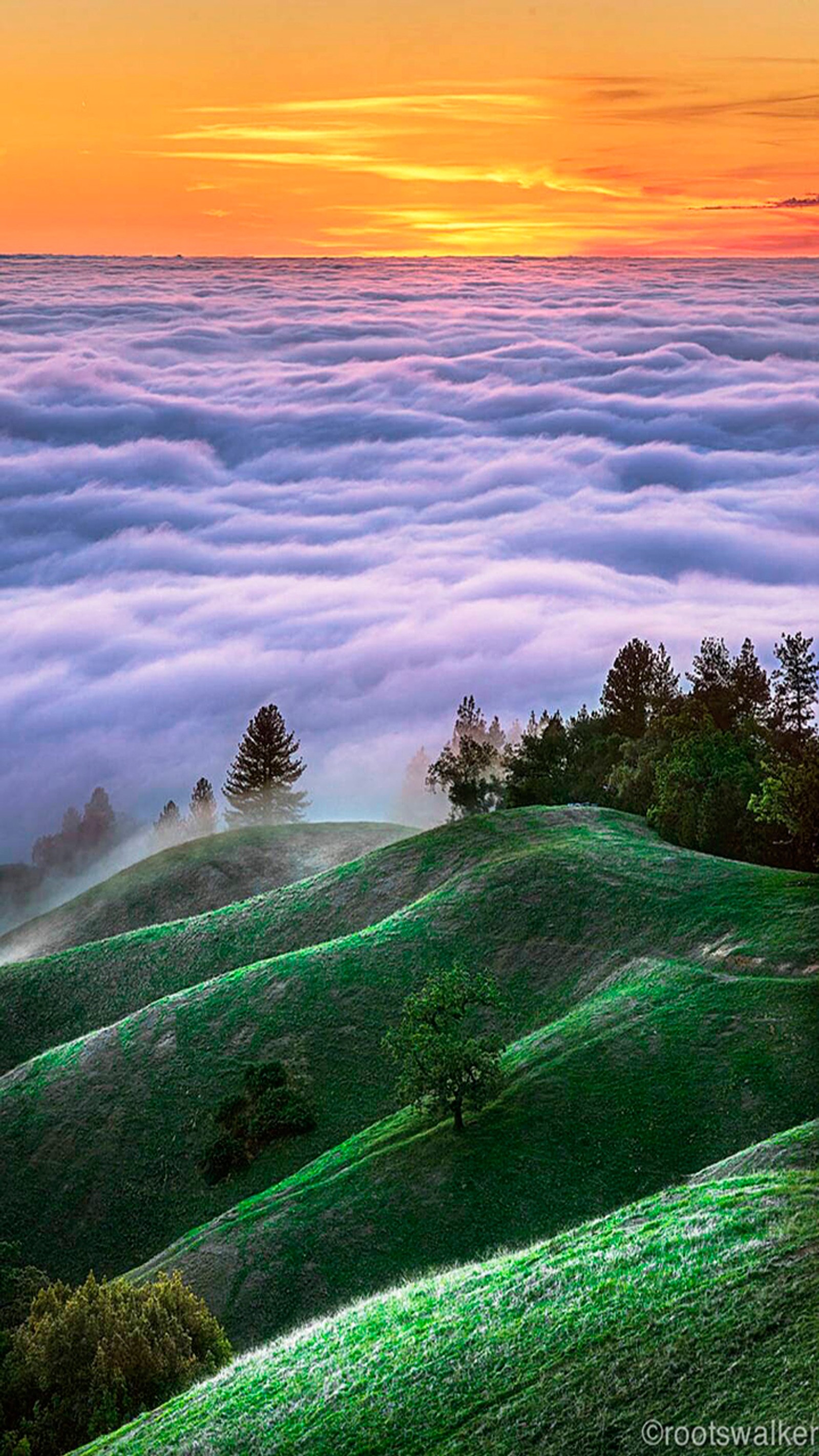 Lade schön, horizont, landschaft, nebel, morgen Hintergrund herunter