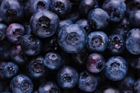 blueberry, fruit, berry, superfood, plant wallpaper